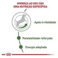 Ração Royal Canin Mini Adult 8+ para Cães Adultos de Raças Pequenas com 8 Anos ou mais - 2,5 Kg