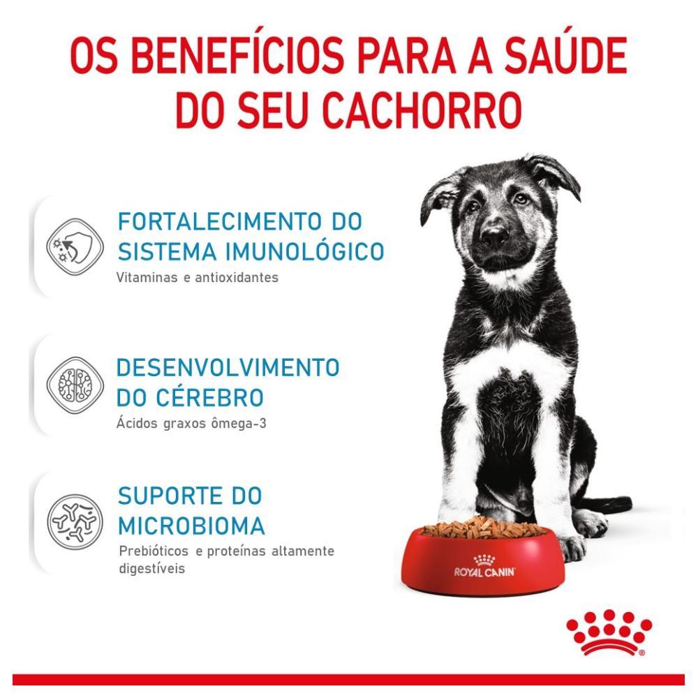 Ração Royal Canin Maxi Puppy para Cães Filhotes de Raças Grandes de 2 a 15 Meses de Idade - 4 Kg - 3