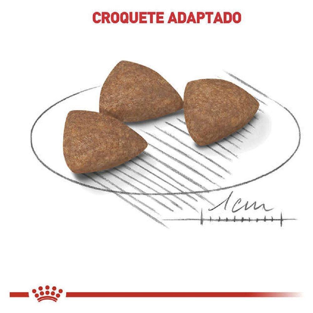 Ração Royal Canin Mini Indoor para Cães Adultos de Raças Pequenas com 10 Meses ou mais - 1 Kg - 3