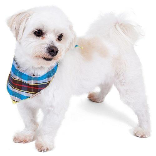 Bandana Pickorruchos Azul Xadrez - Tam. G