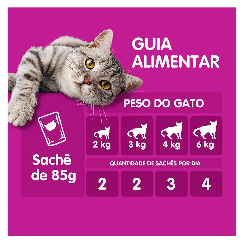Kit Ração Úmida Whiskas Sachê Peixe Jelly para Gatos Adultos - 40 Unidades - 8