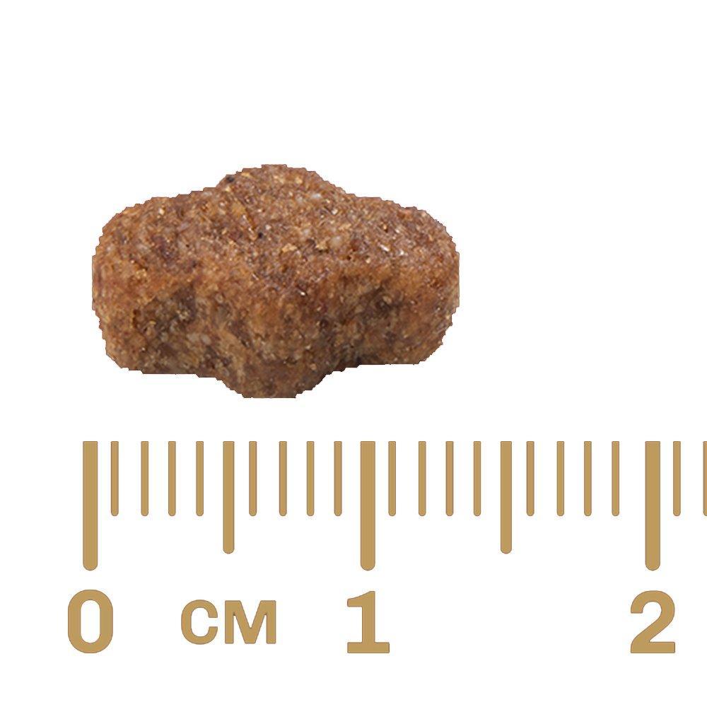 Ração GranPlus Menu Light Frango e Arroz para Cães Adultos Raças Médias e Grandes - 3 Kg - 2