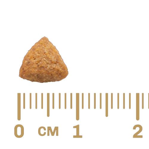 Ração GranPlus Frango e Arroz Gatos Castrados Adultos - 10,1 Kg