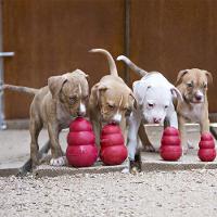 Brinquedo Interativo KONG Classic T3 com Dispenser para Ração ou Petisco Vermelho - Tam. P - 6