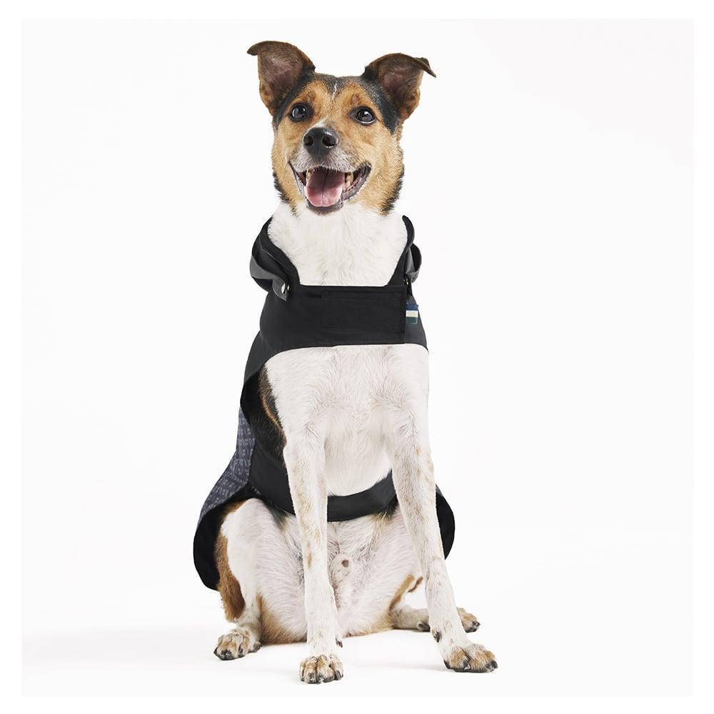 Capa de Chuva Reserva para Cães - Tam. P - 5