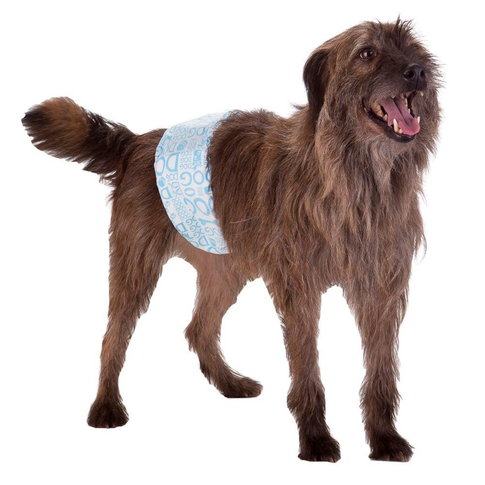 Faixa Absorvente Dog's Care Ecofralda Gel para Macho com 12 Unidades - Tam. GG - 2