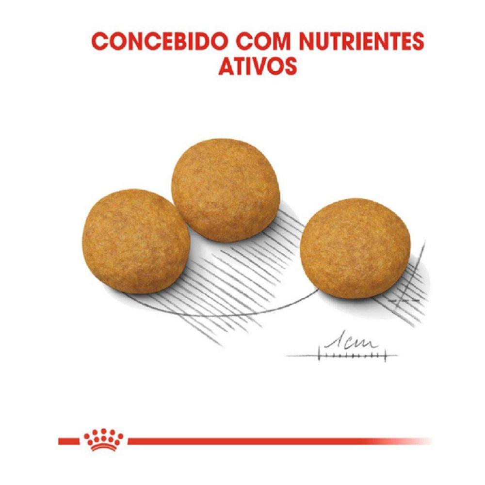 Ração Royal Canin Medium Dermacomfort para Cães Adultos ou Idosos de Raças Médias - 2,5 Kg - 7