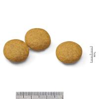 Ração Royal Canin Medium Dermacomfort para Cães Adultos ou Idosos de Raças Médias - 2,5 Kg - 3