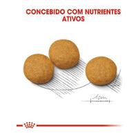 Ração Royal Canin Medium Dermacomfort para Cães Adultos ou Idosos de Raças Médias - 2,5 Kg - 7