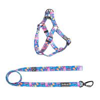 Peitoral e Guia Grou para Cães - Tam. G - 1