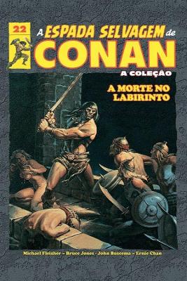 A Espada Selvagem De Conan Vol. 22