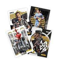 Tribute Card Set Atlético MG - 50 Cards - 3