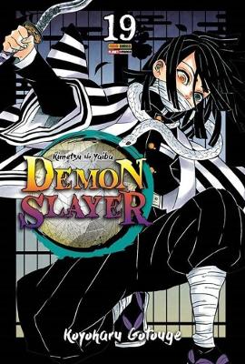 Demon Slayer - Kimetsu No Yaiba Vol. 19