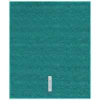 Pano para Chão FlashLimp com Furo Microfibra 80x60cm (AxL) - Verde - 1