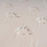 Colchão King Size Hellen Dublin com Molas Ensacadas e Espuma D33 28x193x203cm - Bege - 3