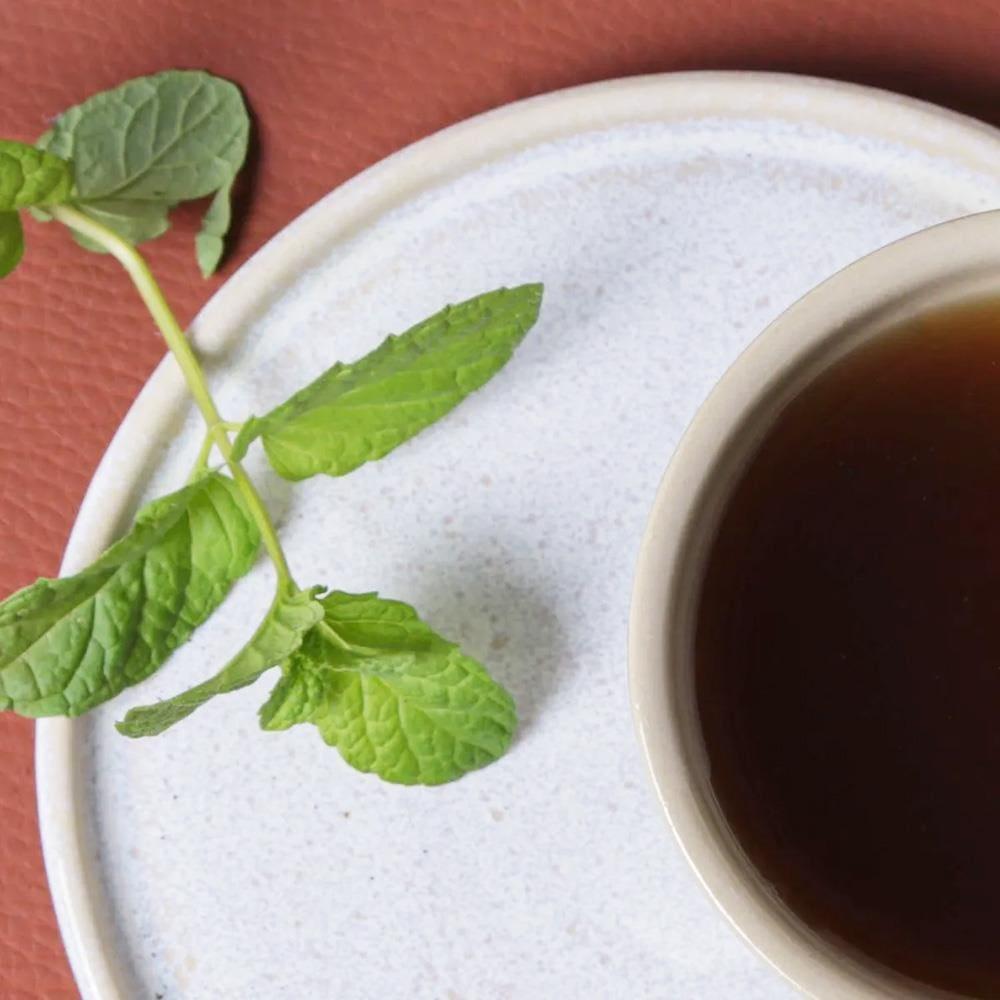 Conjunto de Xícaras de Chá com Pires Porto Brasil Neo Latte 210ml - 6 Peças - 3