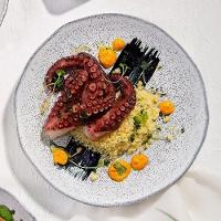 Conjunto de Pratos Rasos Porto Brasil Orgânico Echo 26,5cm - 6 Peças - 2