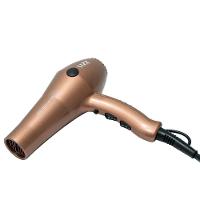 Secador de Cabelos Lizz Professional Iconic 2150W – Rosé