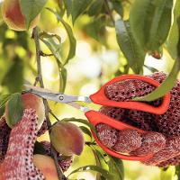 Tesoura para Frutas Tramontina com Lâminas em Aço Inox - 15,3cm - 4