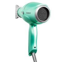 Secador de Cabelos Taiff Fox Ion 3 Motor AC Profissional 2200W - Verde - 3