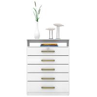 Cômoda Demóbile Triunfo com 5 Gavetas e 1 Nicho - 2