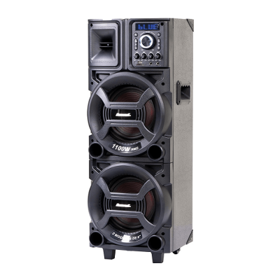 SKD CAIXA AMPLIF. AMVOX ACA 1101 BLACK DUPLO 8 BIVOLT 1100W