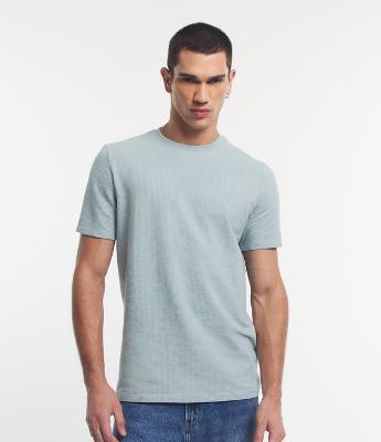 Camiseta Regular em Ana Ruga com Textura e Manga Curta