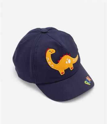 Boné Aba Curva Infantil com Bordado de Dino