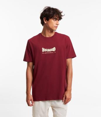 Camiseta Relaxed Malhão com Estampa Stoked