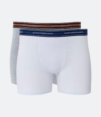 Kit 02 Cueca Boxer em Algodão com Cós Elástico Lupo