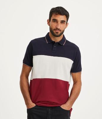 Camisa Polo Regular em Algodão com Blocos de Cor e Manga Curta