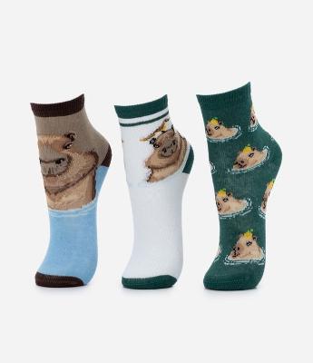 Kit 03 Meias Infantis Cano Médio com Estampa de Capivaras - Tam 23 ao 34