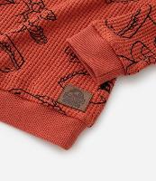 Camiseta Infantil em Malha Waffle Texturizada Estampa Jurassic Baby - Tam 2 a 5 anos - 1