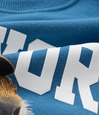 Blusão Infantil com Estampa Capivara Skatista - Tam 5 a 14 Anos