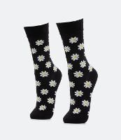 Meia Cano Alto em Algodão com Estampa de Margaridas - 1