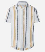 Camisa Regular com Textura e Listras Verticais - 1