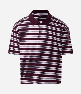 Camiseta em Malha com Gola Polo e Estampa de Listras