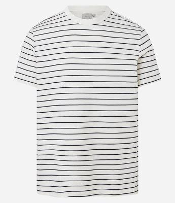 Camiseta Regula em Algodão com Estampa de Listras