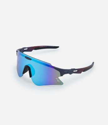 Óculos de Sol Esportivo com Lentes Amplas