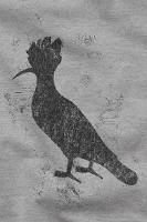 Camiseta Mini Pica Pau Dark Reserva Mini - 2