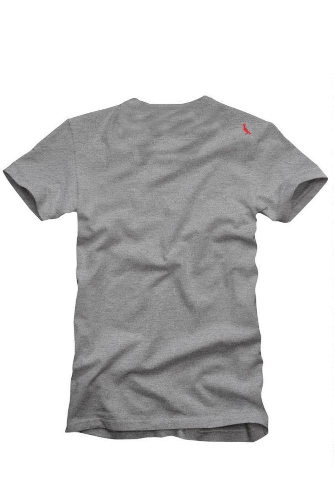 Camiseta Algodão Pica-pau Patriota Reserva - 6