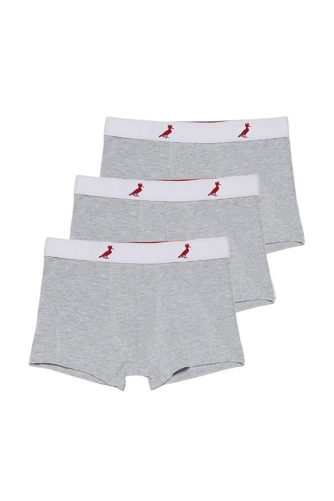Kit De Cueca Mini Boxer Cinza Reserva Mini - 1