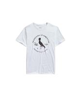 Camiseta Sb Algodão Carimbo Gaze Reserva - 7