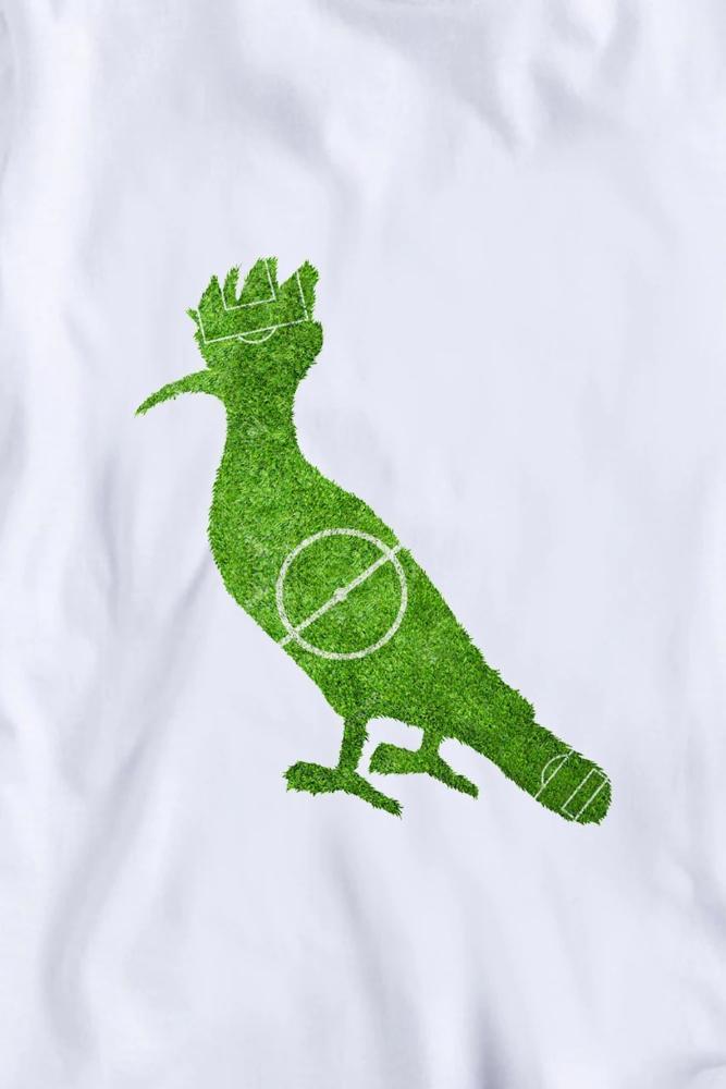 Camiseta Infantil Pica Pau Futebol Reserva Mini - 4