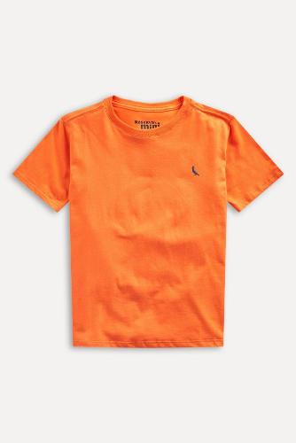 Camiseta Gota Pica Pau Bordado Reserva Mini