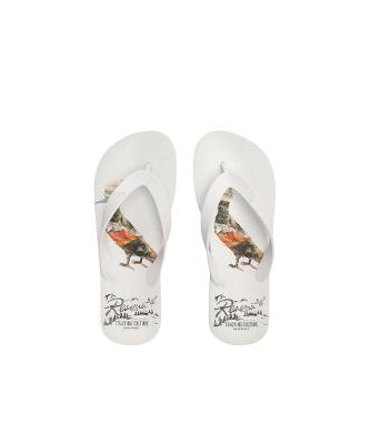 Chinelo Rsv Pp Camp Reserva Go