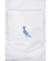 Kit 2 Camisetas Bolso Cb Pica-Pau Xadrez Reserva - 4