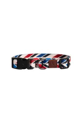 Coleira Angles Pet Reserva
