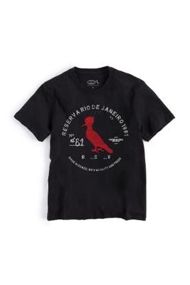 Camiseta Infantil Carimbo Gaze Conforto Reserva Mini