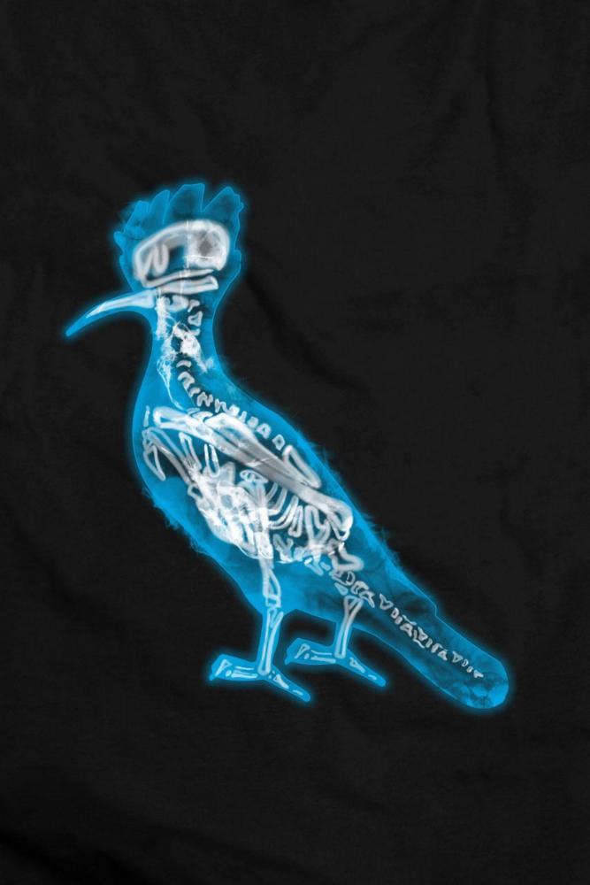 Camiseta Infantil Pica Pau Raio X Ii Reserva Mini - 2